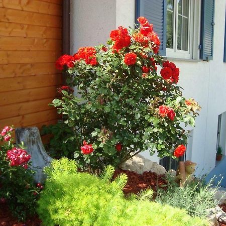 Ferienwohnung Weiser Kressbronn am Bodensee Zewnętrze zdjęcie